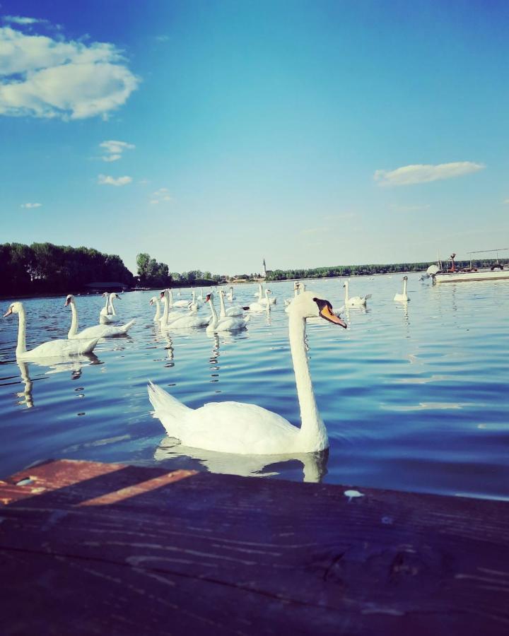 Вилла Kuca Ribarev San Beocin Экстерьер фото